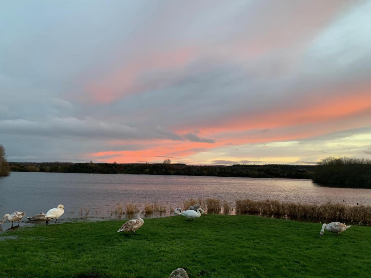 Lochside Loft - Self Catering Apartment For 2 In A Great Location For Inverness Airport And Both Cabot Highlands & Nairn Golf Courses Esterno foto
